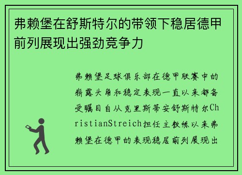 弗赖堡在舒斯特尔的带领下稳居德甲前列展现出强劲竞争力 弗赖堡在舒斯特尔的带领下稳居德甲前列展现出强劲竞争力