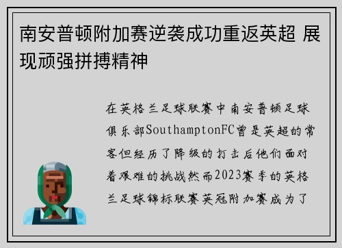南安普顿附加赛逆袭成功重返英超 展现顽强拼搏精神